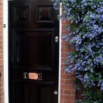 Timber front door 34