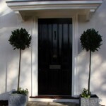 Timber front door 39